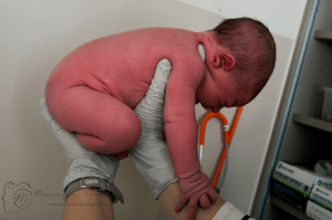 Geboortefotograaf Utrecht Leidsche Rijn WKZ Monique Verbeek