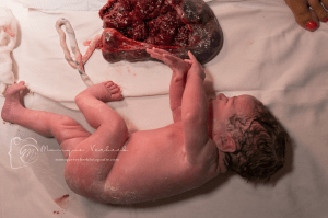 Lotusgeboorte Geboortefotograaf Monique Verbeek Utrecht Leidsche Rijn